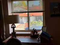Window Views with Video