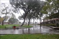 Van Nuys HS 115