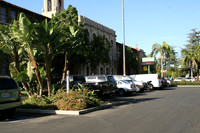 Hamilton HS-LA-131