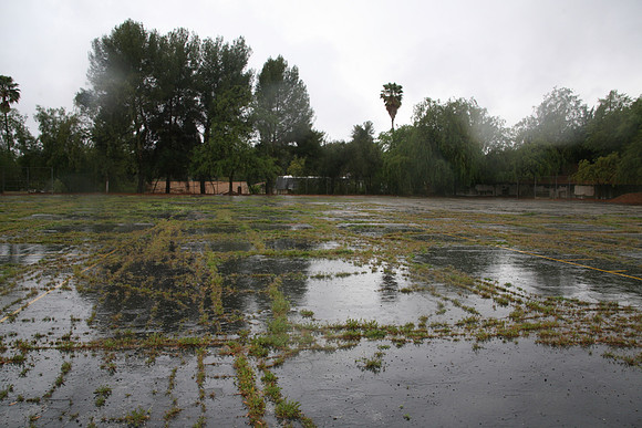 PARKING LOT Platt Ele School Woodland Hills00023