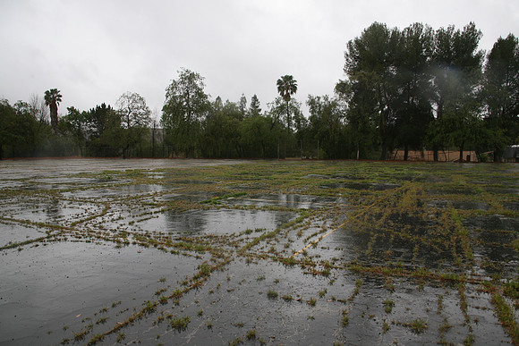 PARKING LOT Platt Ele School Woodland Hills00022