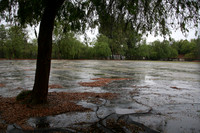 PARKING LOT Platt Ele School Woodland Hills00006