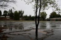 PARKING LOT Platt Ele School Woodland Hills00014