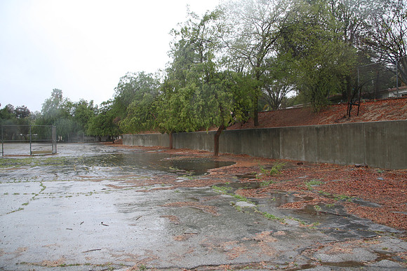 PARKING LOT Platt Ele School Woodland Hills00059