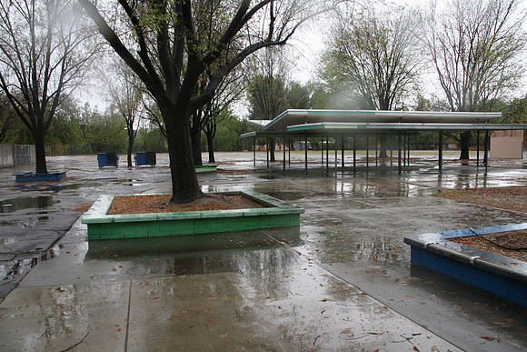 PARKING LOT Platt Ele School Woodland Hills00100
