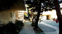 UNIVERSAL-C206-SO-20