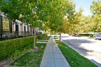 UNIVERSAL-A829-SCV-6