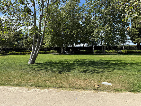 IMG_6037