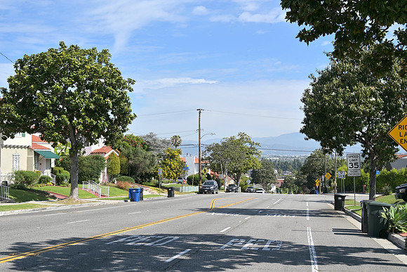 DSC_0605