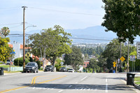 DSC_0604