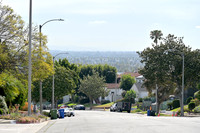 DSC_0497