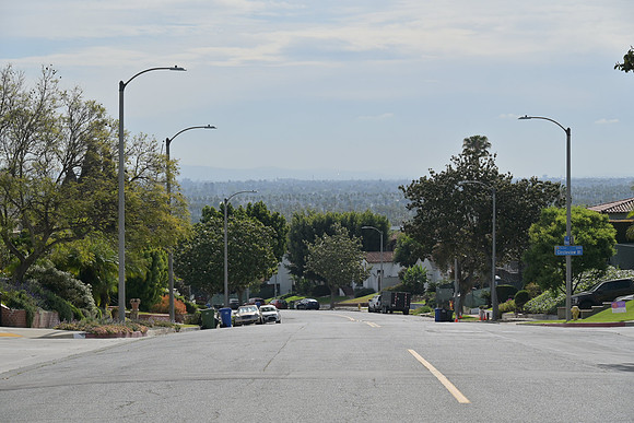 DSC_0504