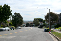 DSC_0510