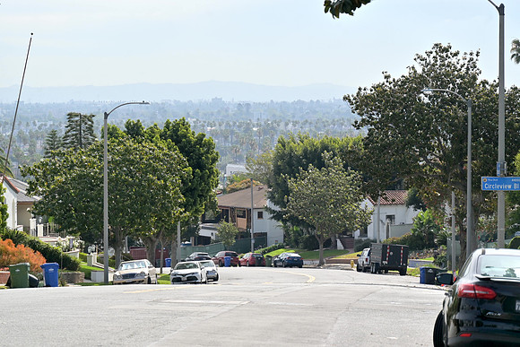 DSC_0506