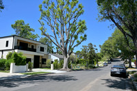 MarVista & Venice area Streets