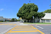 Walgrove Ave and Lucille Av