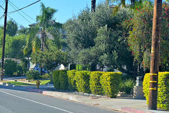 DSC_1029