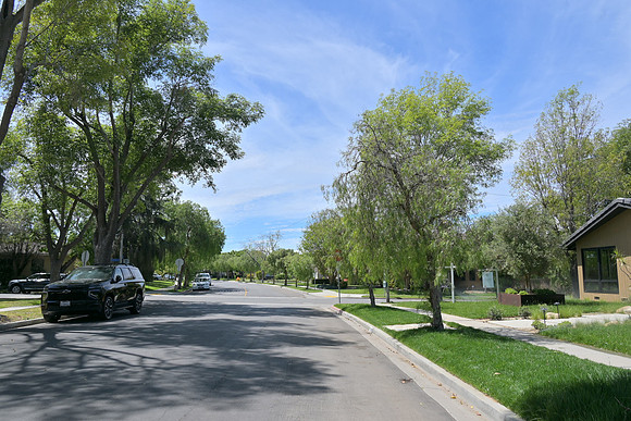 DSC_1076